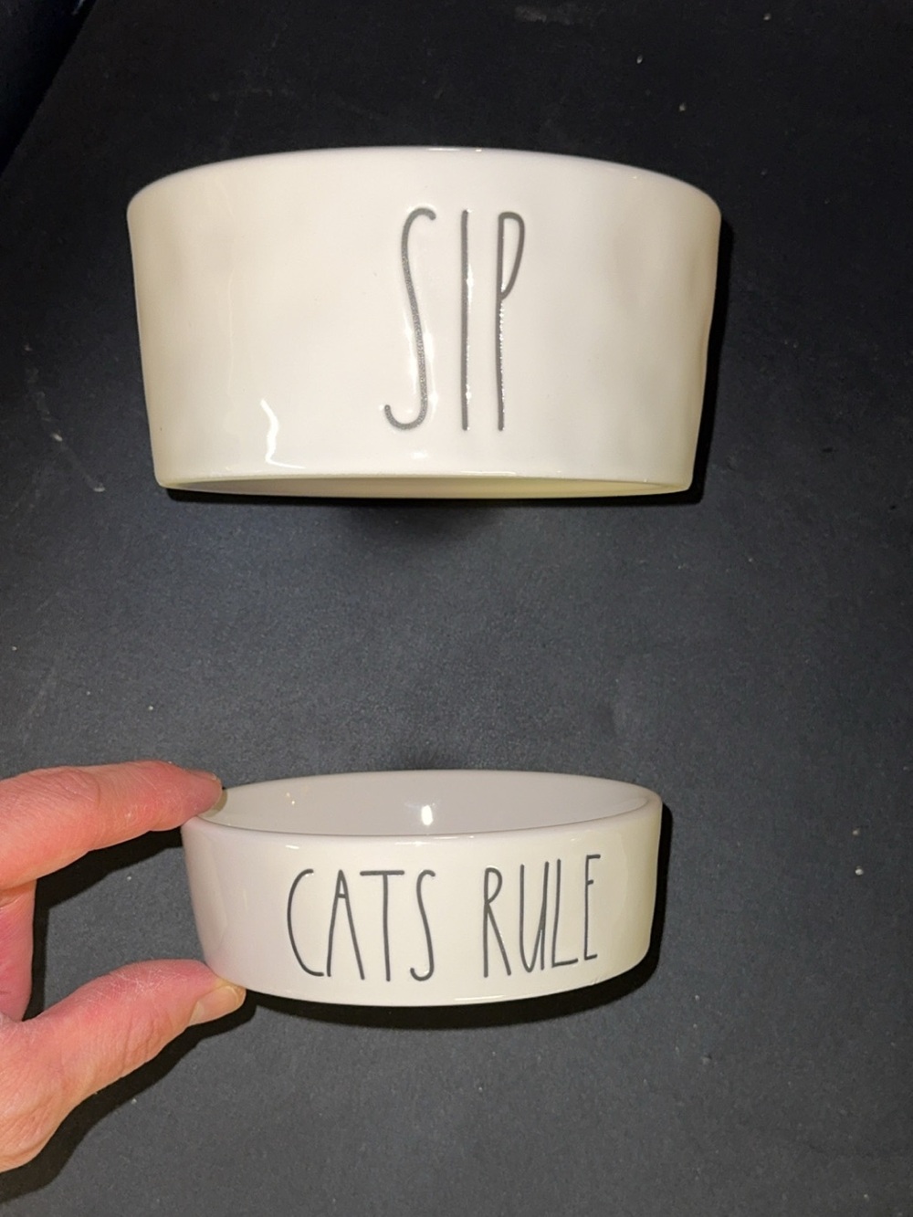 Rae Dunn ceramic pet/dog/cat bowl white SIP / CATS RULE set of 2 bundle lot